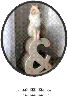 Une image contenant chat, assis, mur, intrieur

Description gnre automatiquement